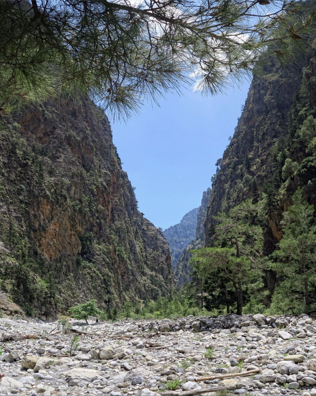Love nature? 🌿 You will certainly fall in love with Crete, Greece’s ultimate hiker’s paradise. Reach the island with #FlyCycladic and immerse yourself in the most amazing adventures at the impressive Samaria Gorge. 🏞️ Book your adventure today! 

#FlyCycladic #CloserThanEver #NewFlightSchedule #traveller #Greece #greekislands #flycessna #wu_greece #reasonstovisitgreece #athensvoice #ilovegreece #travel_greece #luxuryworldtraveler #cycladicair #flywithus #aviation_daily #aviationlovers #aviationphotography #cessnacaravan208 #greecestagram #discovergreece #visitgreece #vacations #incredible_europe #theworldfromabove #crete #samaria #samariagorge #hiking